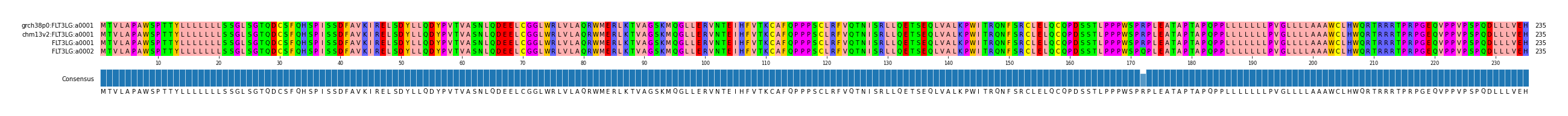 Multiple Alignments (by translate haplotype similarity)
