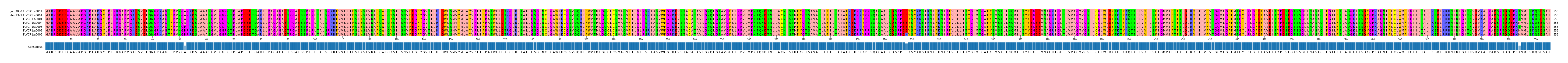 Multiple Alignments (by translate haplotype similarity)