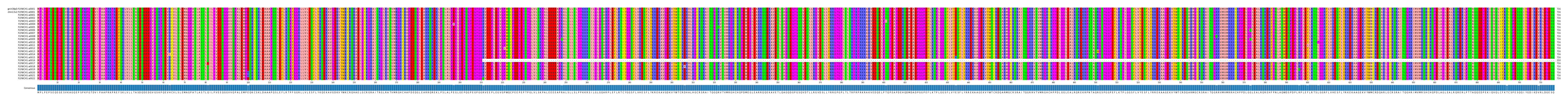Multiple Alignments (by translate haplotype frequency)