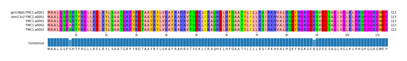 Multiple Alignments (by translate haplotype frequency)