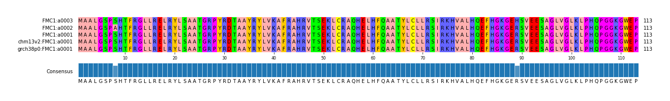 Multiple Alignments (by translate haplotype similarity)