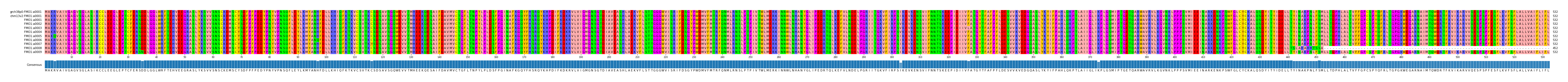 Multiple Alignments (by translate haplotype frequency)