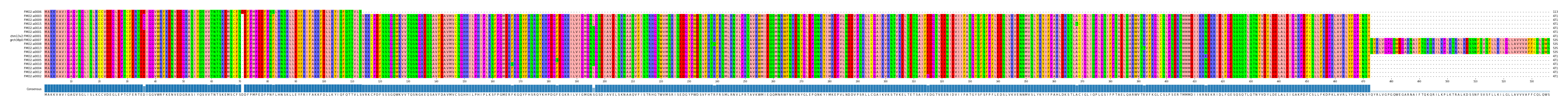 Multiple Alignments (by translate haplotype similarity)