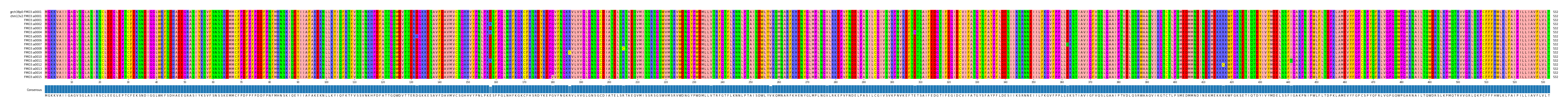 Multiple Alignments (by translate haplotype frequency)