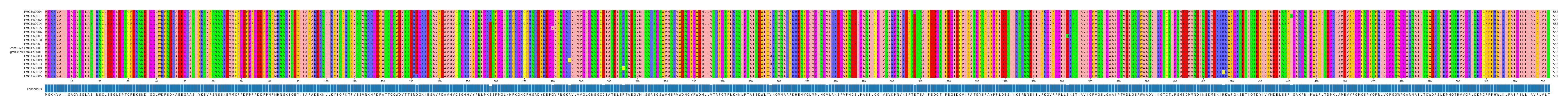 Multiple Alignments (by translate haplotype similarity)