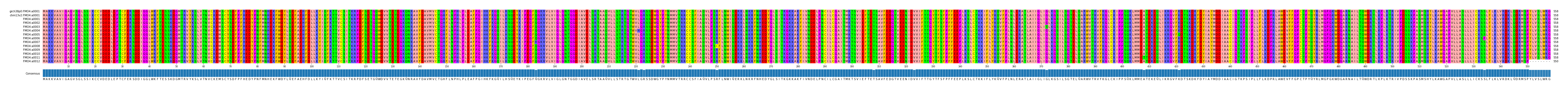 Multiple Alignments (by translate haplotype frequency)