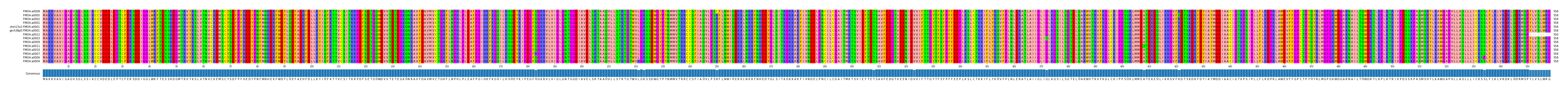 Multiple Alignments (by translate haplotype similarity)