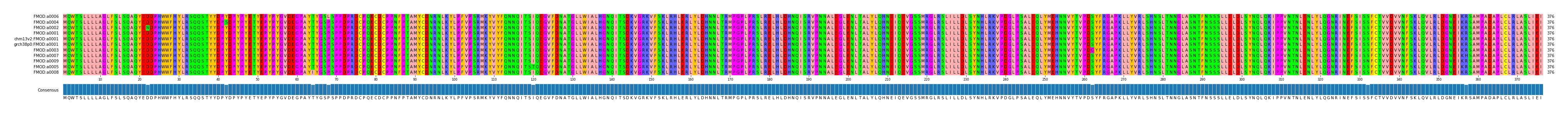 Multiple Alignments (by translate haplotype similarity)