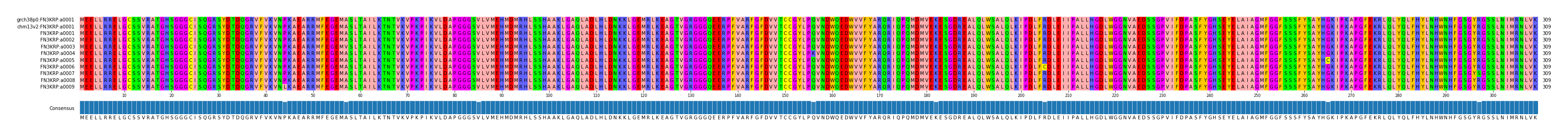 Multiple Alignments (by translate haplotype frequency)