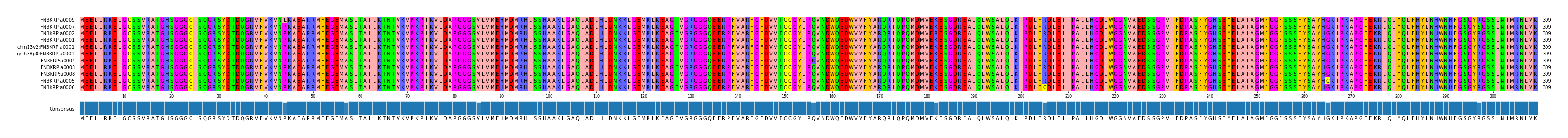 Multiple Alignments (by translate haplotype similarity)