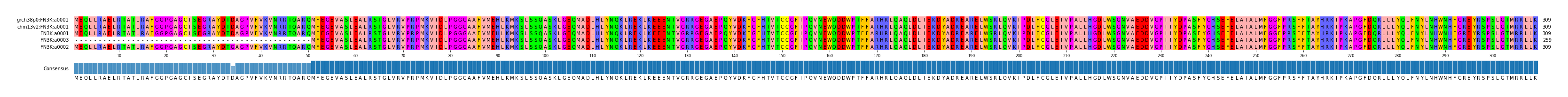 Multiple Alignments (by translate haplotype similarity)