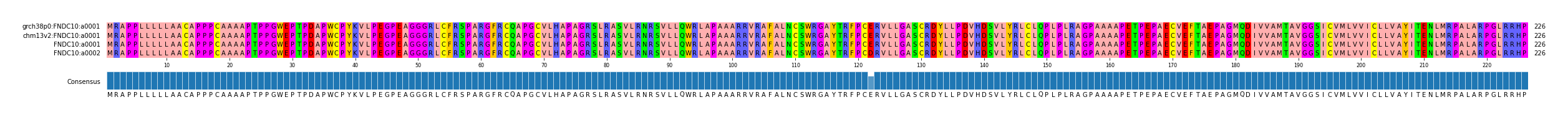 Multiple Alignments (by translate haplotype similarity)