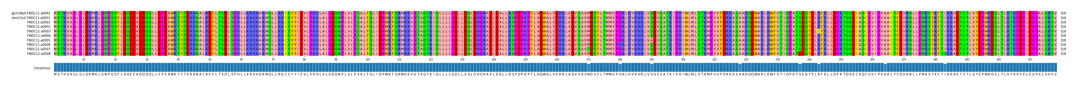 Multiple Alignments (by translate haplotype frequency)