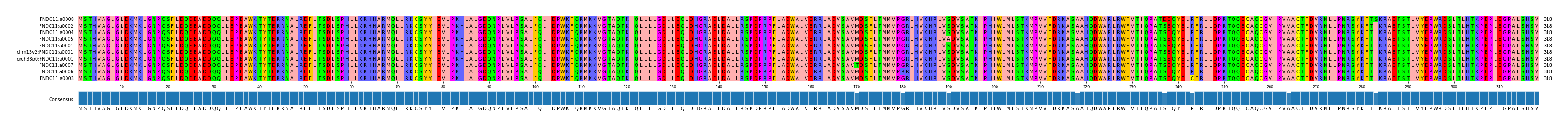 Multiple Alignments (by translate haplotype similarity)