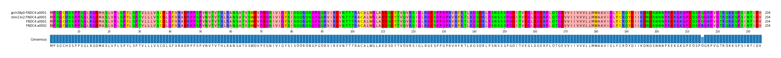 Multiple Alignments (by translate haplotype similarity)
