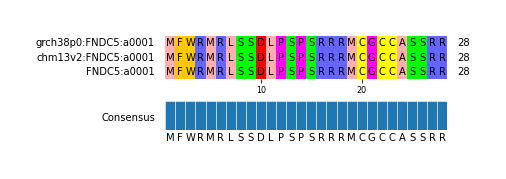 Multiple Alignments (by translate haplotype similarity)