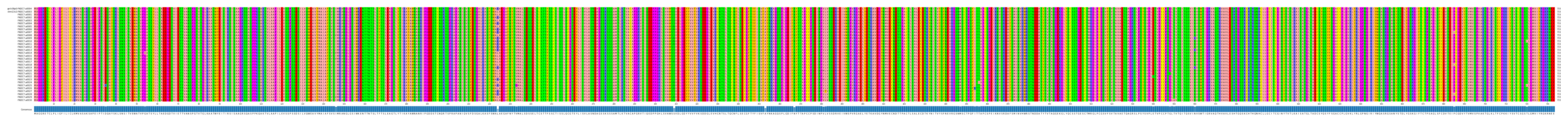 Multiple Alignments (by translate haplotype frequency)