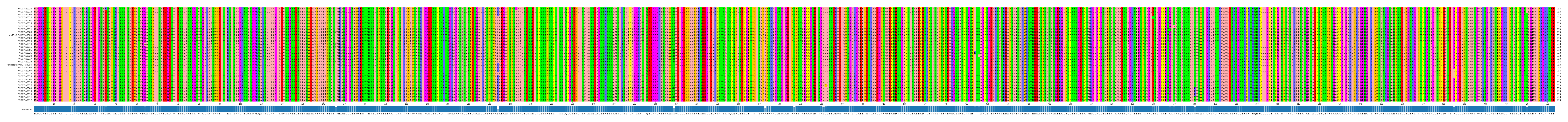 Multiple Alignments (by translate haplotype similarity)