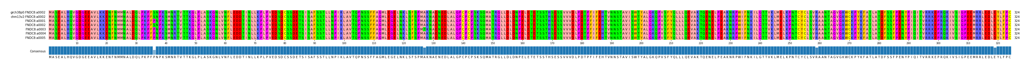 Multiple Alignments (by translate haplotype frequency)