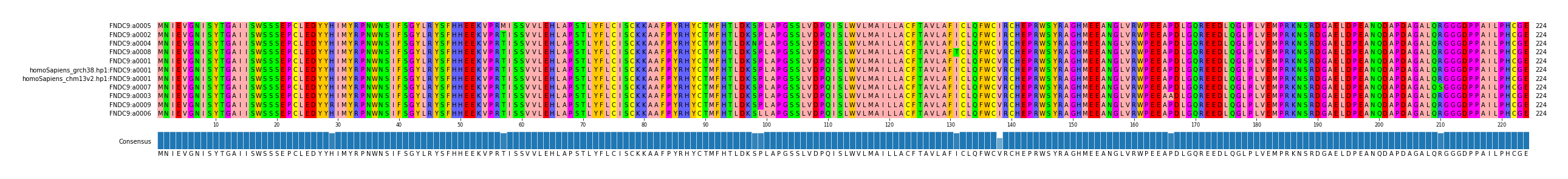 Multiple Alignments (by translate haplotype similarity)