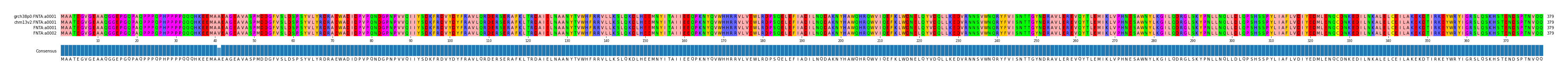 Multiple Alignments (by translate haplotype similarity)