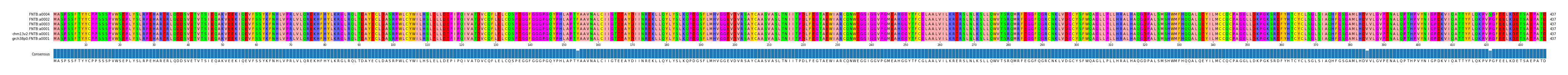 Multiple Alignments (by translate haplotype similarity)
