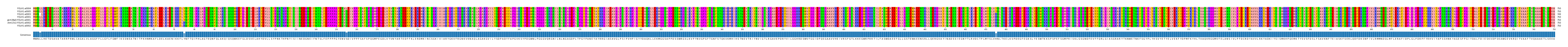 Multiple Alignments (by translate haplotype similarity)