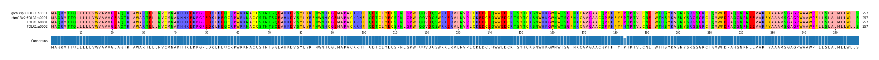 Multiple Alignments (by translate haplotype frequency)