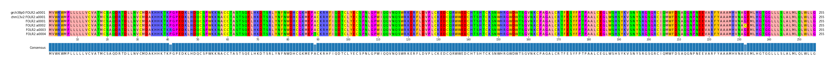 Multiple Alignments (by translate haplotype frequency)