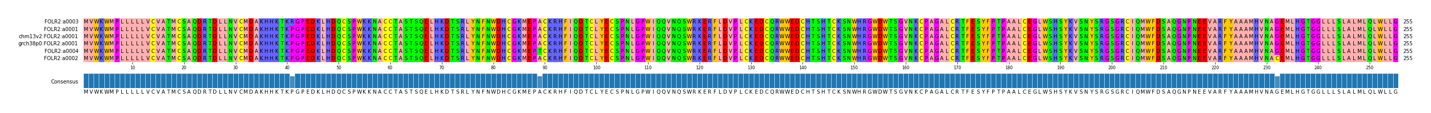 Multiple Alignments (by translate haplotype similarity)