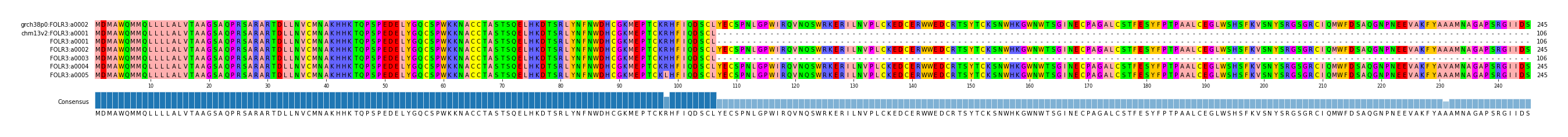 Multiple Alignments (by translate haplotype frequency)