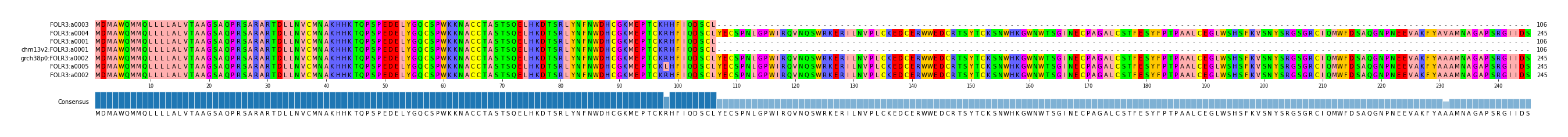 Multiple Alignments (by translate haplotype similarity)