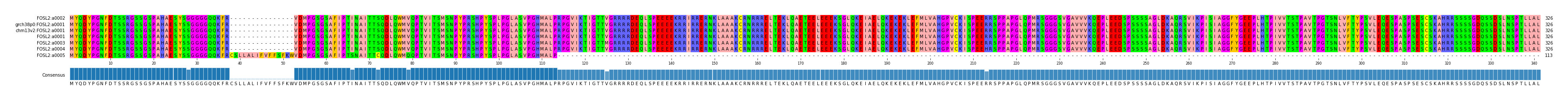 Multiple Alignments (by translate haplotype similarity)