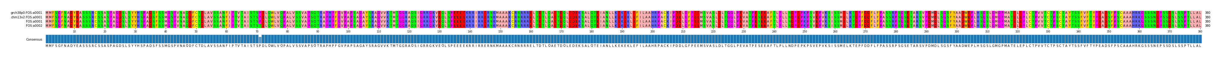 Multiple Alignments (by translate haplotype similarity)