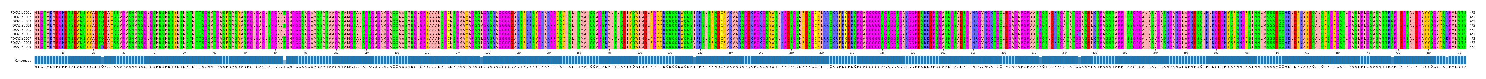 Multiple Alignments (by translate haplotype frequency)