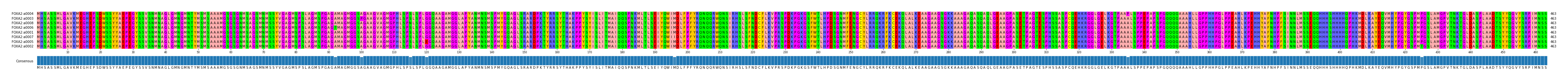 Multiple Alignments (by translate haplotype similarity)