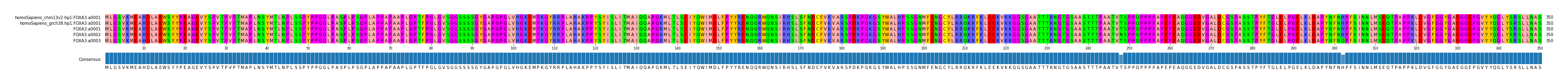 Multiple Alignments (by translate haplotype frequency)