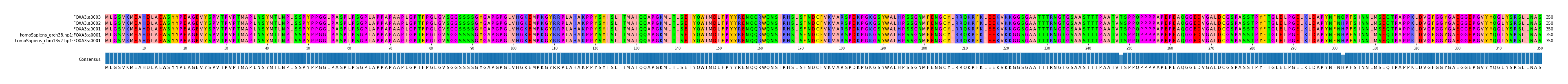 Multiple Alignments (by translate haplotype similarity)