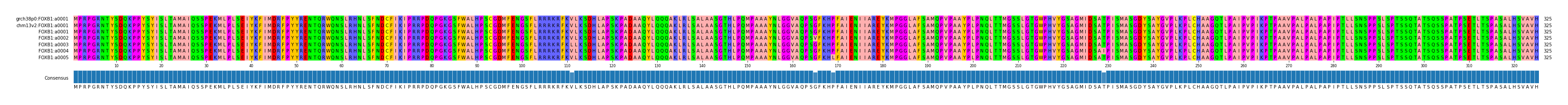 Multiple Alignments (by translate haplotype frequency)