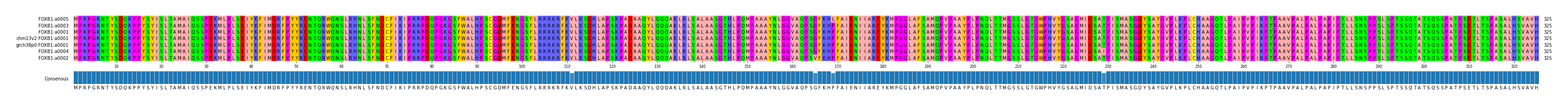 Multiple Alignments (by translate haplotype similarity)