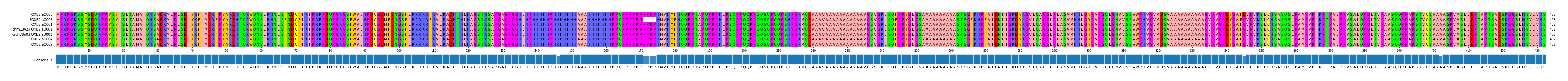 Multiple Alignments (by translate haplotype similarity)