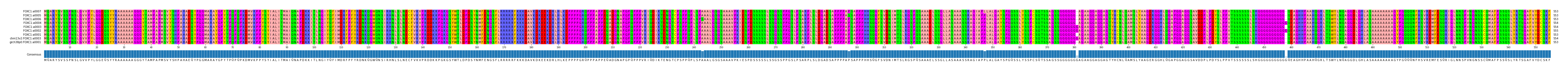 Multiple Alignments (by translate haplotype similarity)