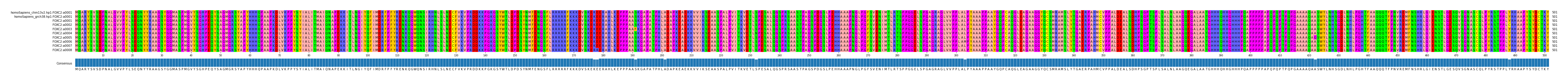 Multiple Alignments (by translate haplotype frequency)