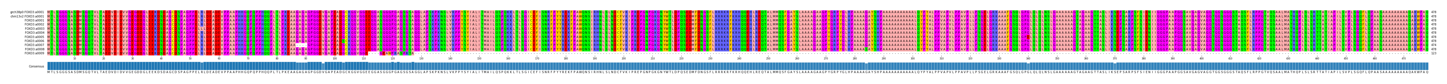 Multiple Alignments (by translate haplotype frequency)