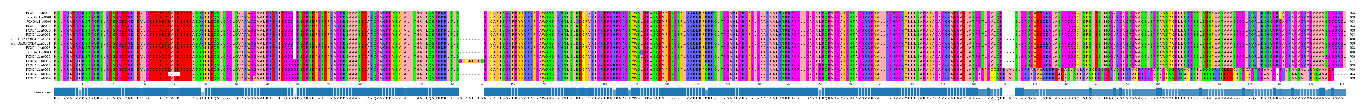 Multiple Alignments (by translate haplotype similarity)
