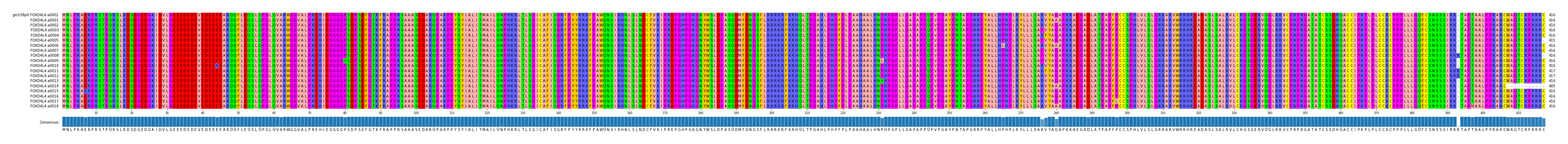 Multiple Alignments (by translate haplotype frequency)