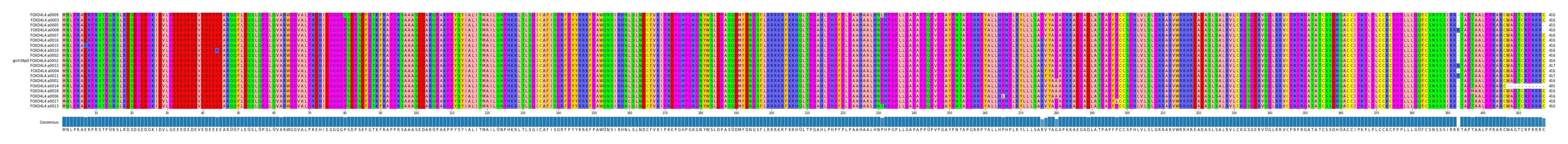 Multiple Alignments (by translate haplotype similarity)