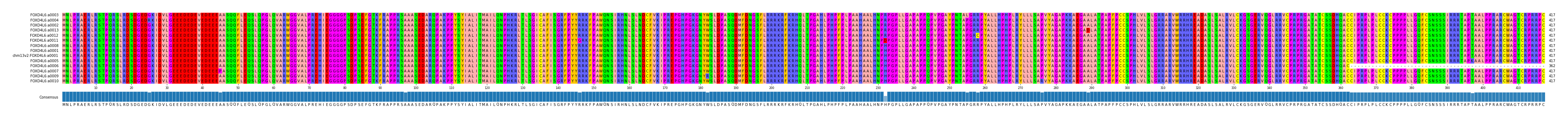 Multiple Alignments (by translate haplotype similarity)