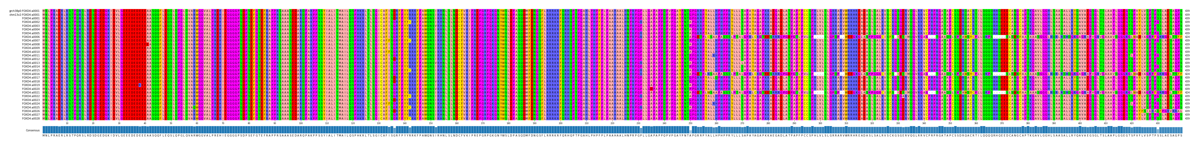 Multiple Alignments (by translate haplotype frequency)