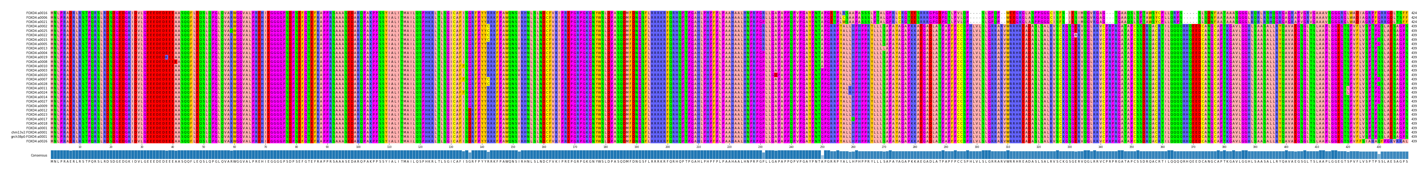 Multiple Alignments (by translate haplotype similarity)